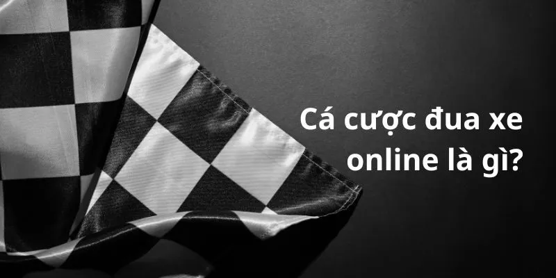 Thông tin tổng quan về đặt cược đua xe online